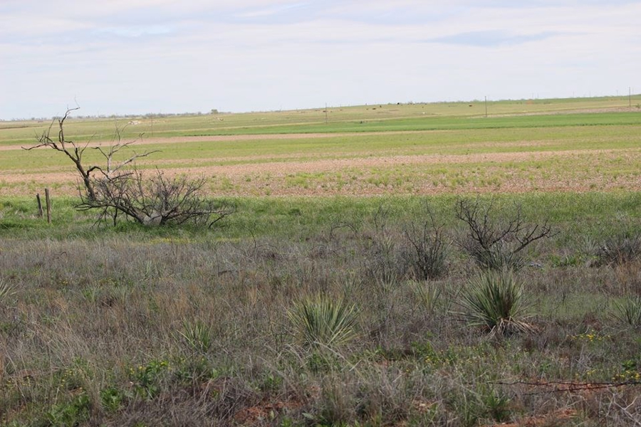 Oklahoma Farm-Ranch For Sale19