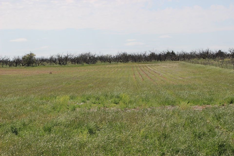 Oklahoma Farm-Ranch For Sale4