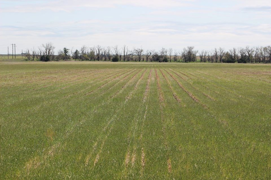 Oklahoma Farm-Ranch For Sale5