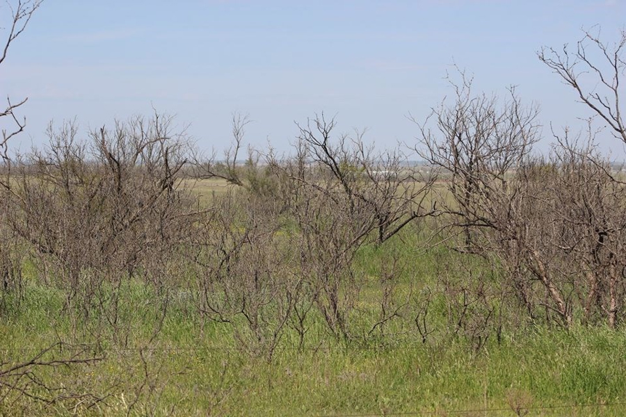 Oklahoma Farm-Ranch For Sale15