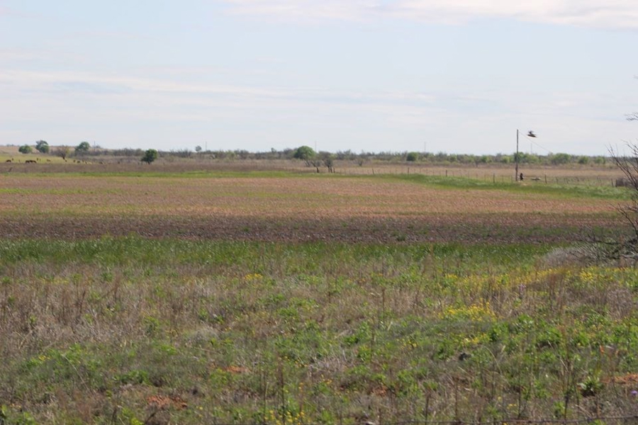 Oklahoma Farm-Ranch For Sale17