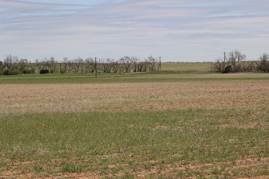 Oklahoma Farm-Ranch For Sale9
