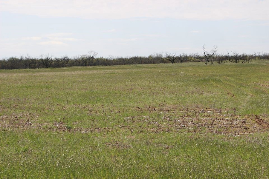 Oklahoma Farm-Ranch For Sale7