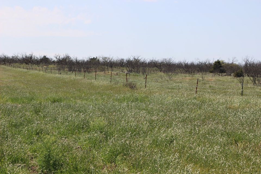 Oklahoma Farm-Ranch For Sale3