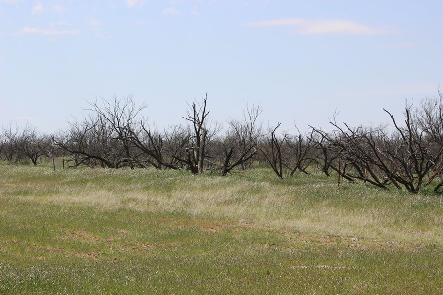 Oklahoma Farm-Ranch For Sale6
