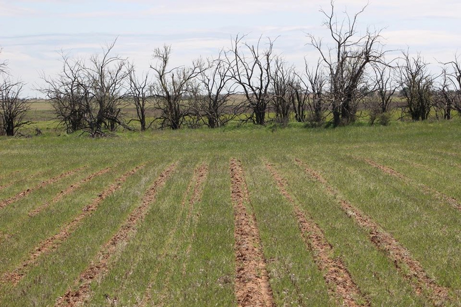 Oklahoma Farm-Ranch For Sale11