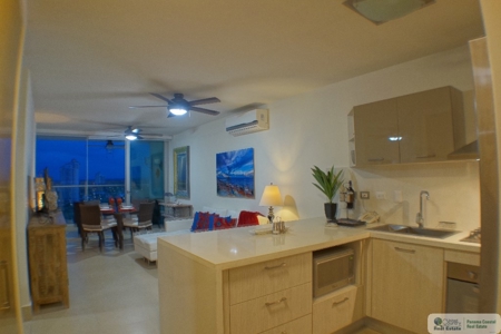 Beachfront Bahia Condo for Sale - image 16