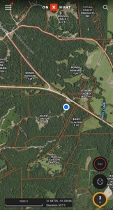 Hunting Land For Sale Jefferson County Fayette Mississippi - image 2
