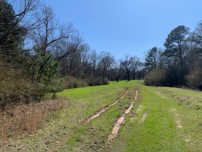 Hunting Land For Sale Jefferson County Fayette Mississippi - image 3