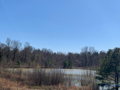 Hunting Land For Sale Jefferson County Fayette Mississippi - image 15