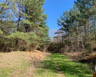 Hunting Land For Sale Jefferson County Fayette Mississippi - image 14
