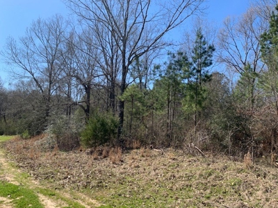 Hunting Land For Sale Jefferson County Fayette Mississippi - image 8