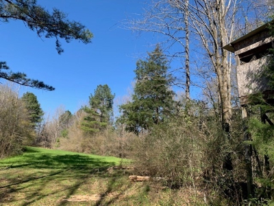 Hunting Land For Sale Jefferson County Fayette Mississippi - image 12