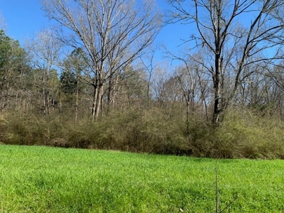 Hunting Land For Sale Jefferson County Fayette Mississippi - image 21