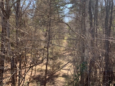 Hunting Land For Sale Jefferson County Fayette Mississippi - image 19