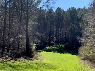 Hunting Land For Sale Jefferson County Fayette Mississippi - image 16