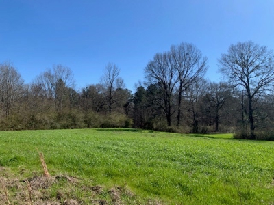 Hunting Land For Sale Jefferson County Fayette Mississippi - image 13