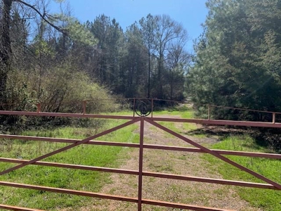 Hunting Land For Sale Jefferson County Fayette Mississippi - image 1