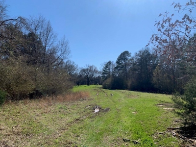Hunting Land For Sale Jefferson County Fayette Mississippi - image 20