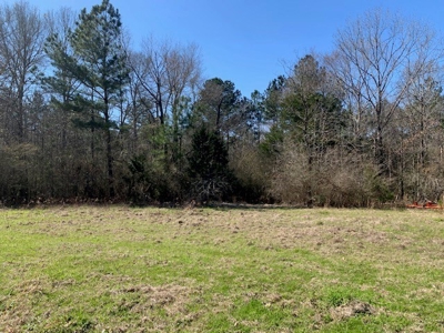 Hunting Land For Sale Jefferson County Fayette Mississippi - image 4