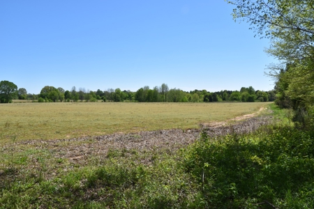Henderson Co TN Log & Wood home, Barn, Ponds, School & Acres - image 4