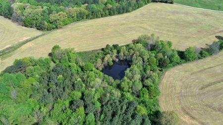 Henderson Co TN Log & Wood home, Barn, Ponds, School & Acres - image 14