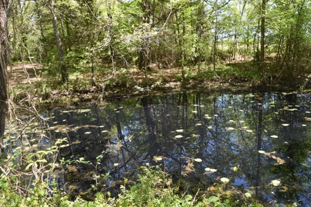 Henderson Co TN Log & Wood home, Barn, Ponds, School & Acres - image 40