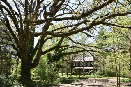Henderson Co TN Log & Wood home, Barn, Ponds, School & Acres - image 1