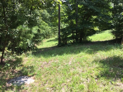 Great Building Location In Calico Rock, Ar - image 2