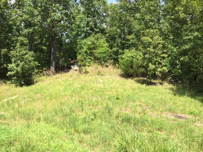 Great Building Location In Calico Rock, Ar - image 1