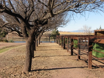 40 +/- Acre Last Stand Guest Ranch, Sonoita, AZ ~ $1675,000 - image 49