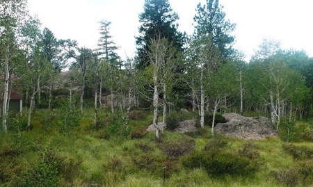 Half Acre Lot in Red Feather Village! - image 5