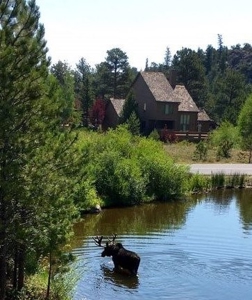 Build Able Lot in Fox Acres - image 5