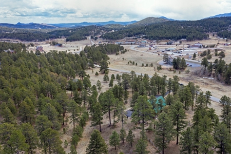 Colorado Mountain Log Home  in  Bailey Colorado - image 36