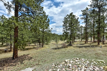 Colorado Mountain Log Home  in  Bailey Colorado - image 6