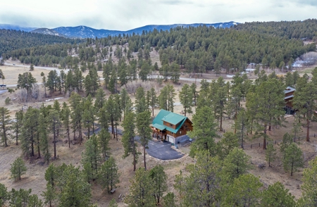 Colorado Mountain Log Home  in  Bailey Colorado - image 35