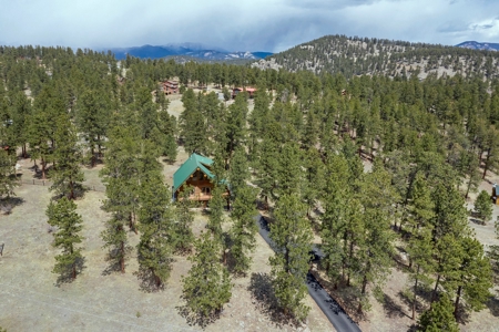 Colorado Mountain Log Home  in  Bailey Colorado - image 34