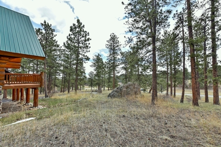 Colorado Mountain Log Home  in  Bailey Colorado - image 3