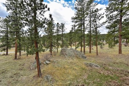Colorado Mountain Log Home  in  Bailey Colorado - image 13