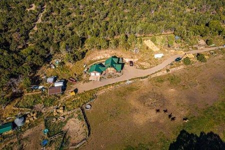 Country Home Hobby Farm near Cedaredge, CO - image 33