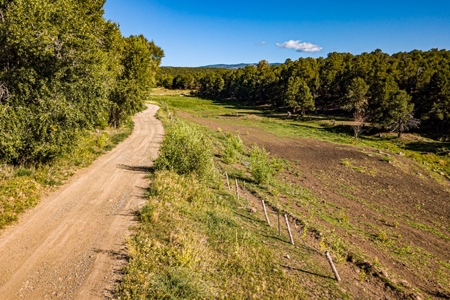 Country Home Hobby Farm near Cedaredge, CO - image 27
