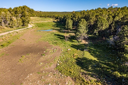 Country Home Hobby Farm near Cedaredge, CO - image 35