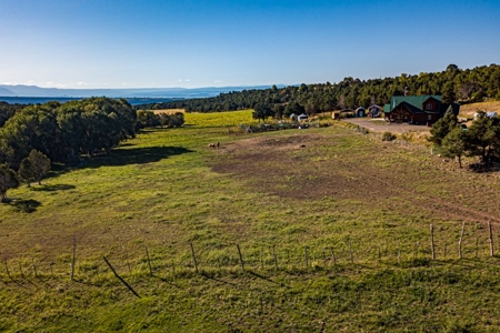 Country Home Hobby Farm near Cedaredge, CO - image 34
