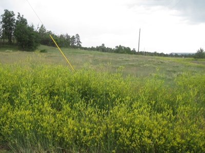 Beautiful Chama West, where the Views are Spectacular - image 5