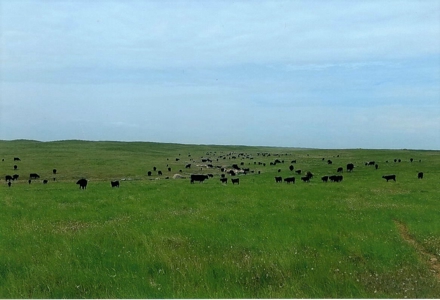 Diversified Farm and Ranch with Top of the Line Improvements - image 18