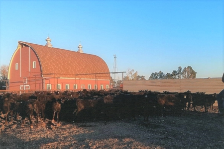 Diversified Farm and Ranch with Top of the Line Improvements - image 26