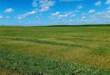 Diversified Farm and Ranch with Top of the Line Improvements - image 21