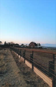 Diversified Farm and Ranch with Top of the Line Improvements - image 16