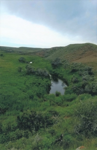 Diversified Farm and Ranch with Top of the Line Improvements - image 12