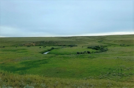 Diversified Farm and Ranch with Top of the Line Improvements - image 23